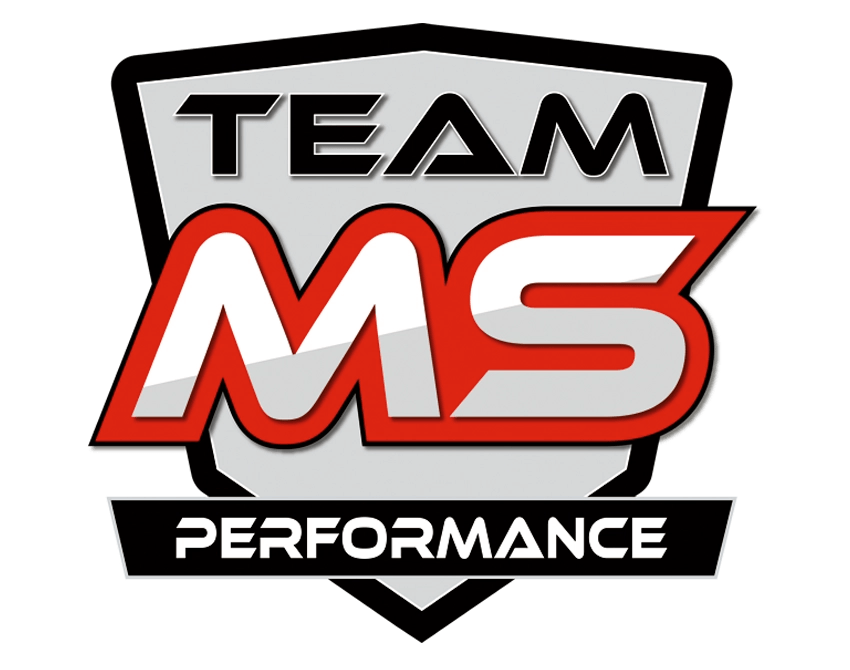 logo-team-ms